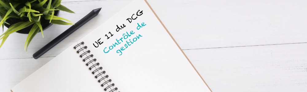 controle de gestion en dcg